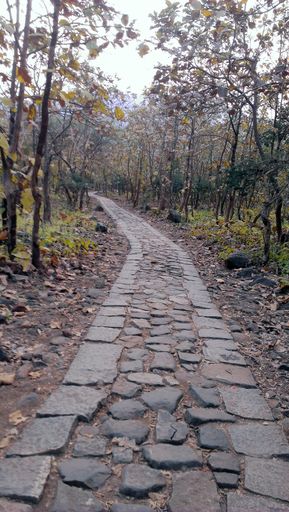 A vertical shot of a long path leads to the autumn garden
