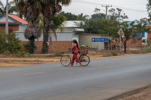 A woman cycling down a residential street, passing by houses