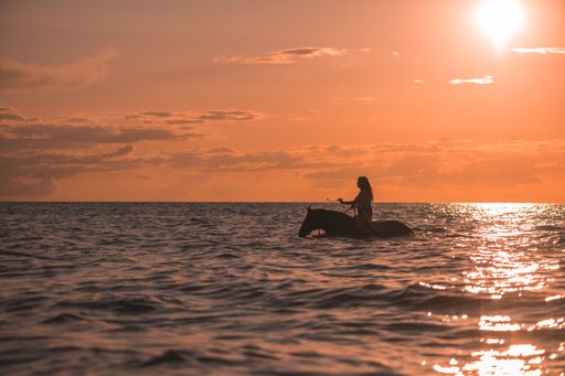 A female riding a horse through a shallow body of water at sunset