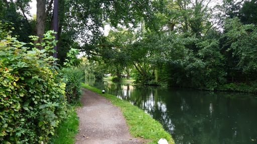 A scenic pathway with lush greenery, winding along a tranquil pond