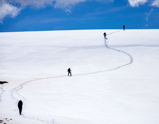 A closeup of  Hikers following the trail in snow to the top of the hill.