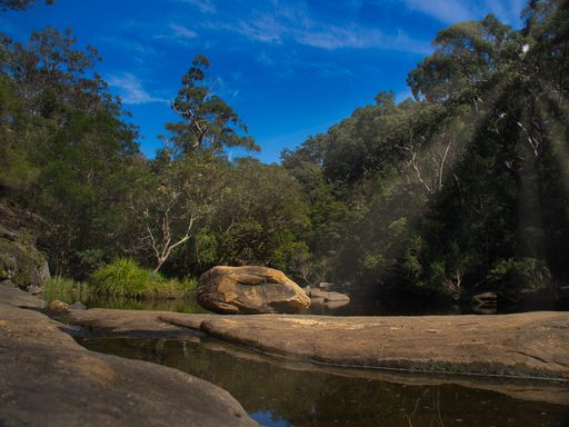 A closeup shot of a lonesome rock perched on the water hole in Garigal National Park  near Sydney