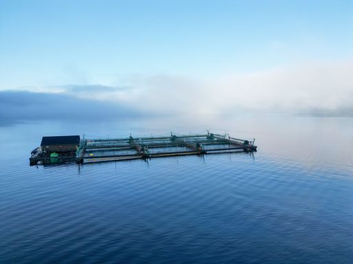 An aerial view of a tranquil lake, with a wooden dock jutting out into the calm water, and a small boat docked by the shore