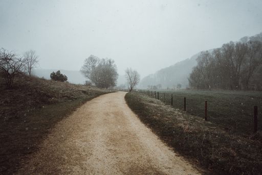A landscape with a pathway surrounded by trees