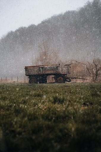 A vertical shot of an old weathered wheelbarrow in a grassy field with trees in the background