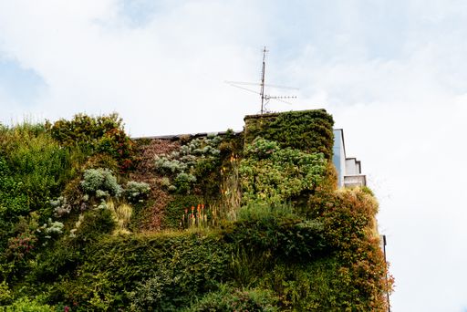 A low angle shot of a house on a hill covered with grass and antenna on the roof
