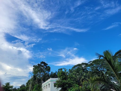 A low angle of a building in palm trees under a cloudy blue sky