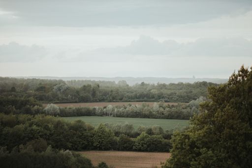 A landscape of fields separated by trees till the horizon in a gloomy day