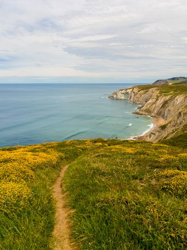 A vertical shot of an ocean with cliff shore covered by greenery