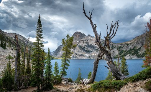 A picturesque lake surrounded by lush greenery on a sloping mountain side, with a nearby forest providing a stunning backdrop