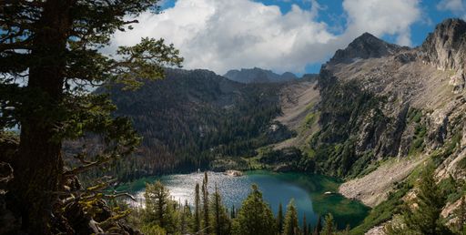 Panoramic view of a tranquil lake surrounded by lush green mountains and trees in the foreground
