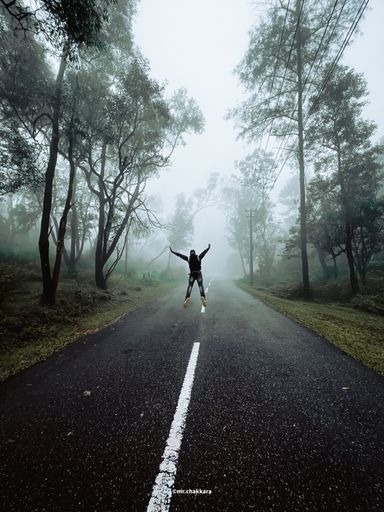 A man in the middle of a foggy and misty landscape jumping on a road surrounded by trees
