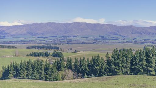 The beautiful fields of New Zealand during daylight