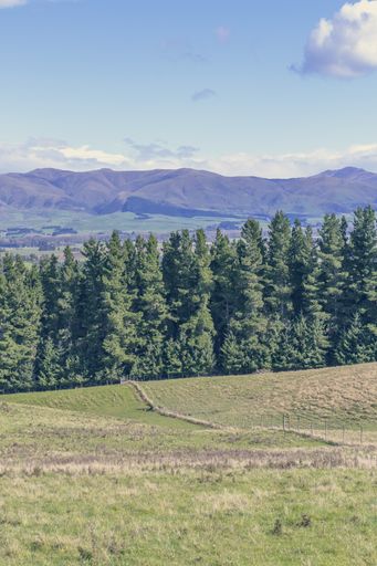 A vertical shot of the beautiful fields of New Zealand during daylight