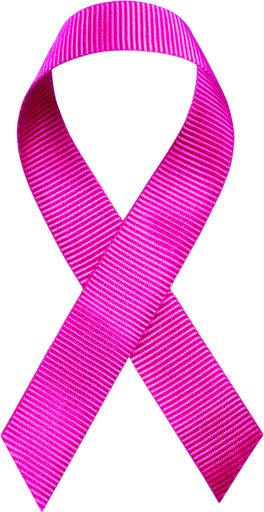 An isolated image of a pink ribbon on a white background