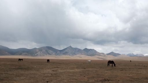 A group of horses standing in a lush meadow with a backdrop of mountains and a cloudy sky.