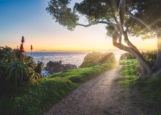 A beautiful shot of the central coast of California with the sunrise on the horizon and a pathway