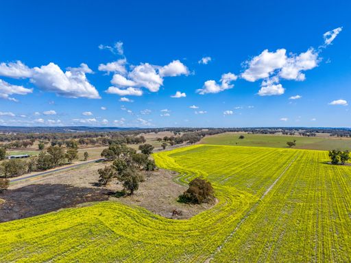 An aerial view of a green paddock near Inverell, New South Wales, Australia