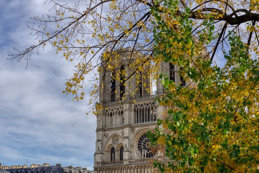 A beautiful shot of trees and Notre-Dame de Paris, seven months after the fire in Paris, France