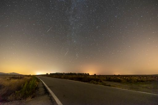 A low angle shot of an empty road  surrounded by greenery under a starry sky