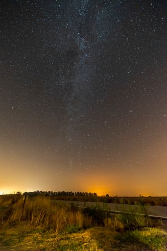 A vertical shot of an empty road surrounded with greenery under a starry sky