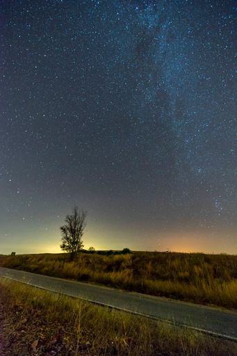 A vertical shot of an empty road between greenery under a starry blue sky