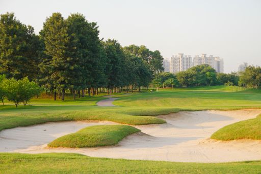Green golf course under clear sky
