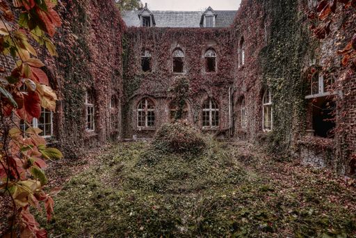 A facade of an old abandoned building covered with colorful leaves