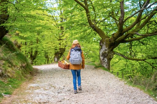 A back view of a young brunette walking along a path with a basket heading to the picnic