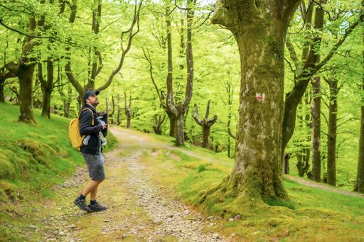 A young father walking with his newborn child on a path in the woods