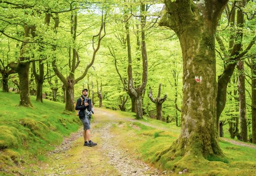 A young father with his newborn child in a baby carrier walking on a path in the woods