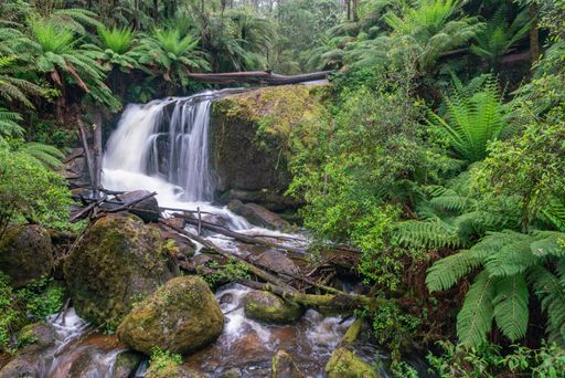 A slow shutter speed photo of Amphitheatre falls in Victoria, Australia showing its normal water flow after moderate rainfall with smooth dreamy water