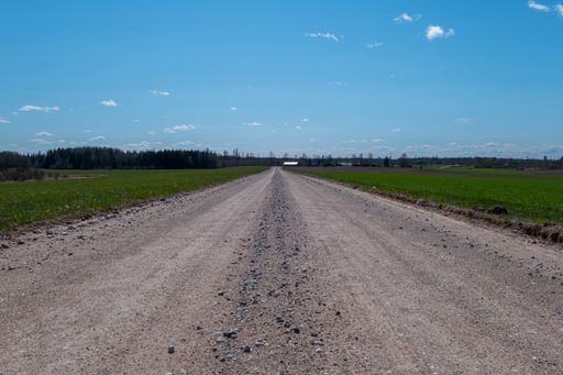An empty dirt road through the countryside and grass field