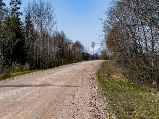 An empty gravel dirt road through the countryside with trees on both sides