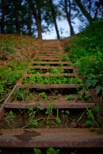A vertical shot of a set of rusty steps with vibrant green weeds growing in between the cracks