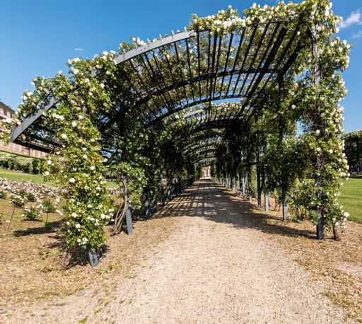 A tunnel of flowers surrounded by greenery under the sunlight and a blue sky