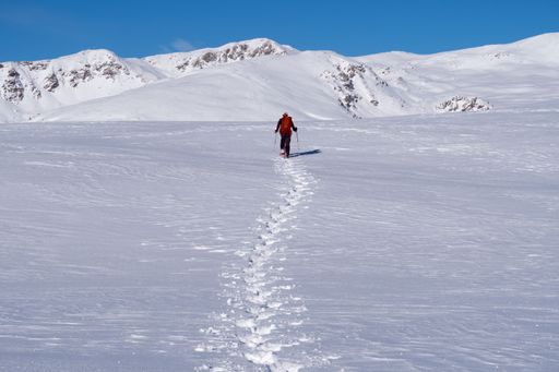 A person walking through a snow-covered landscape, heading towards an idyllic mountain range