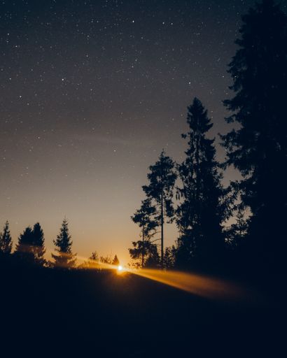A vertical shot of tree silhouettes in a field under the sunlight and a starry sky in the evening