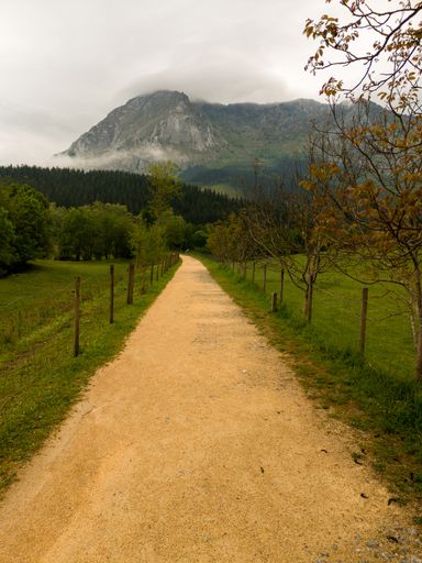 A vertical shot of limestone road along with fence on the countryside