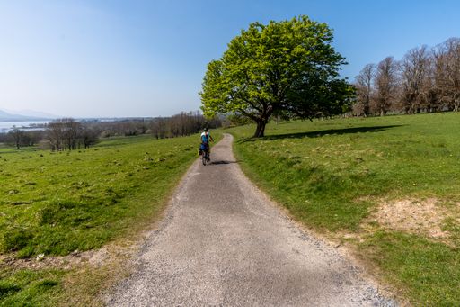 A female riding a bike through a green field in the Killarney national park, Ireland
