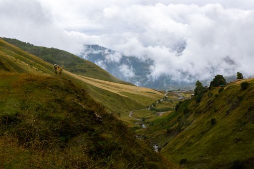 A peaceful scene of mountainous terrain featuring lush green grass and rocky outcrops in Georgia