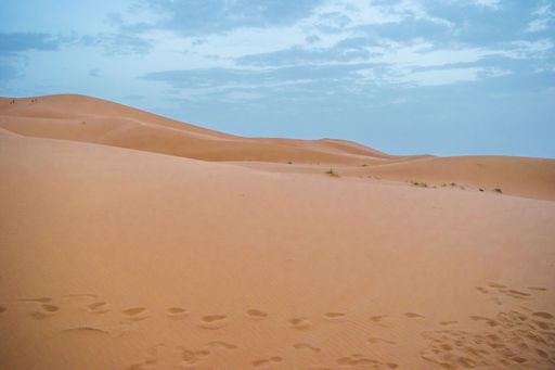Sand dunes during sunset in Erg Chebbi desert, near Merzouga, Sahara Desert, in the North African Country of Morocco, with camel footprints.