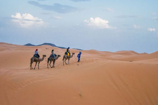 The camels walking on sand dunes during sunset in Erg Chebbi desert, near Merzouga, Sahara Desert, in the North African