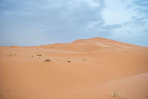 Sand dunes during sunset in Erg Chebbi desert, near Merzouga, Sahara Desert, in the North African Country of Morocco, with camel footprints.