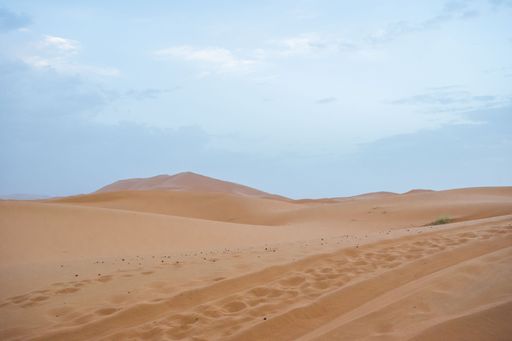 Sand dunes during sunset in Erg Chebbi desert, near Merzouga, Sahara Desert, in the North African Country of Morocco, with camel footprints.