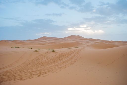Sand dunes during sunset in Erg Chebbi desert, near Merzouga, Sahara Desert, in the North African Country of Morocco, with camel footprints.