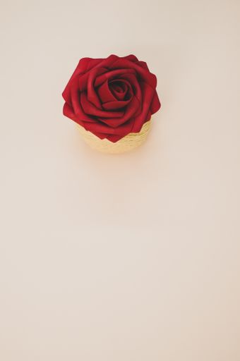 A top view of an artificial red rose on a thread spool and pastel peach surface for a copy space