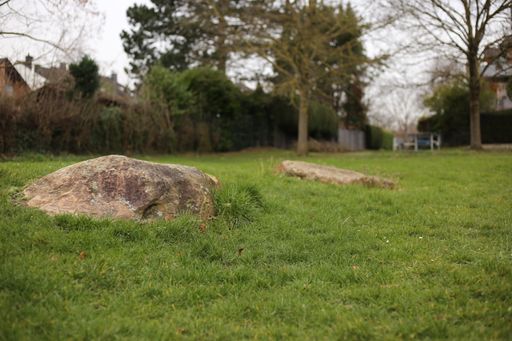 A selective focus shot of a rock on a green grass lawn with a blurred background