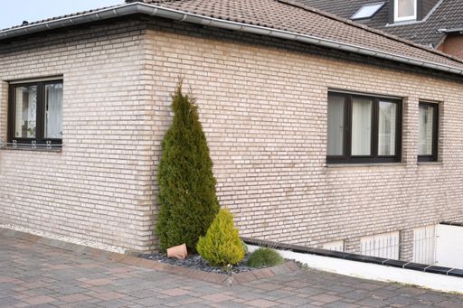 A beautiful shot of a house with a green plant in the terrace