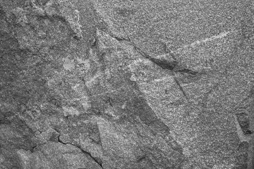 A closeup shot of a gray rough concrete wall